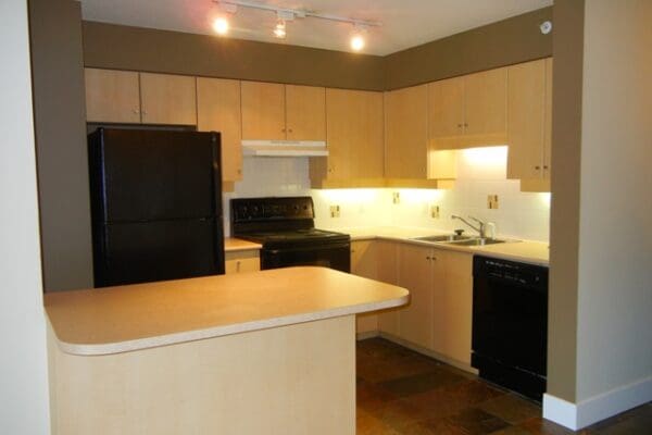 Spacious 2 Bedroom Corner Unit Downtown Condo (RP424)